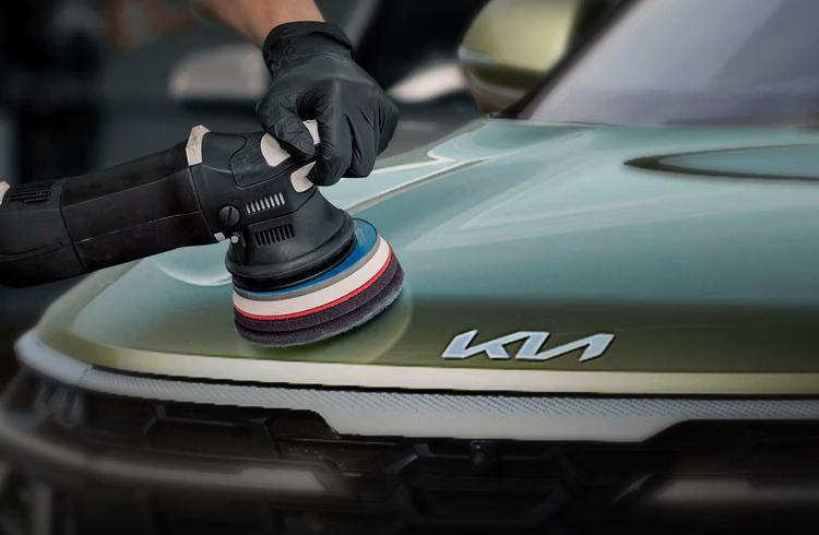Premium vehicle surface protection